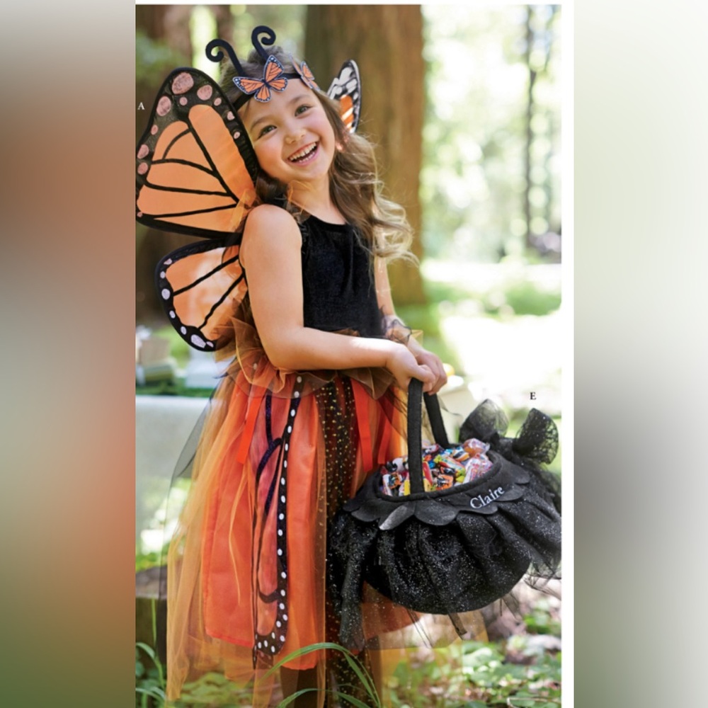Pottery Barn Kids Vibrant Butterfly Costume in Orange and Black